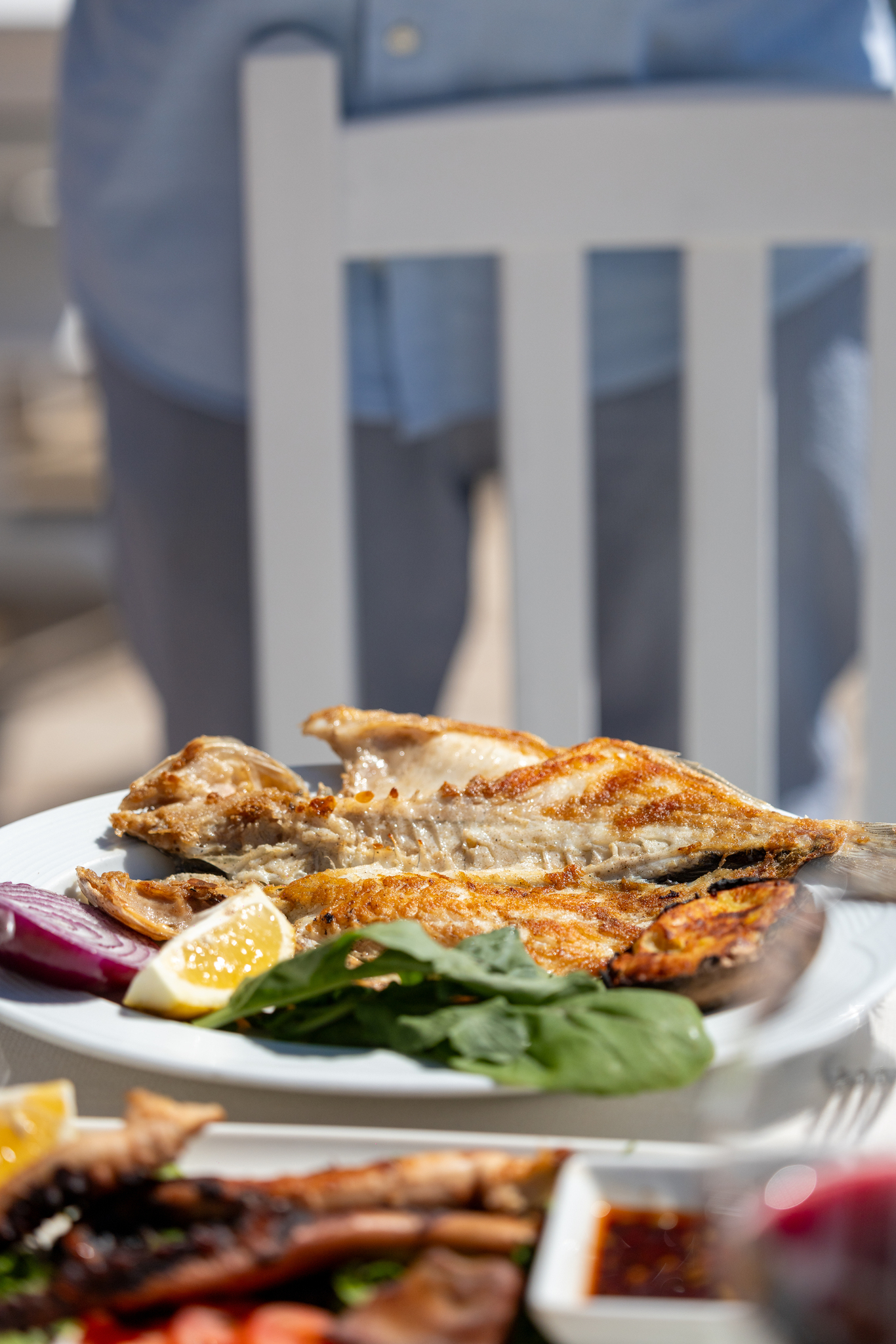 Tranca Restaurant Bodrum